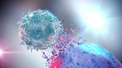 AI Can Design New Viruses Not Found in Nature. Traders Give Safety Reform Just 10% Odds.